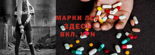 сатива Билибино